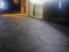 -大桶水·全国旗舰店(体育路店)