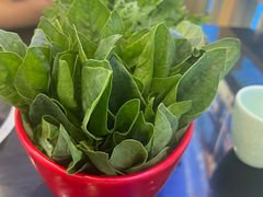 -青岛小羔羊火锅(李村公园店)