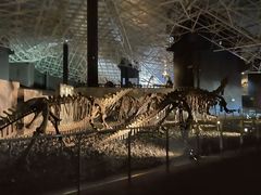 -世界恐龙谷景区