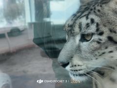 -青藏高原野生动物园