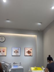 -洗脸猫·洗脸吧