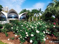 -人民公园(罗湖区)