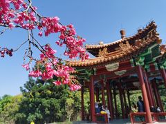 -厦门园林博览苑