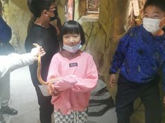 -MR.ZOO小小动物元室内动物园(沈阳沈河盛京中心)