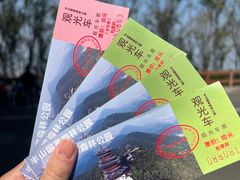 -杭州半山国家森林公园