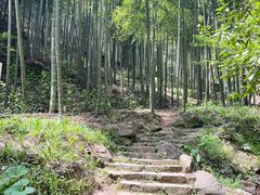 -莫干山风景区