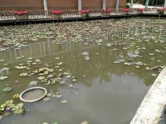 -揭东万竹园旅游景区