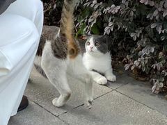 -春雪面馆(转塘店)