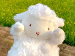 -爱啤精酿·民谣酒馆(滨江店)