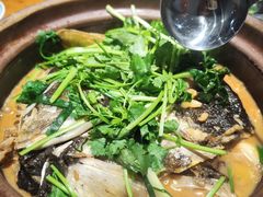 -九道菜有鸡鱼头(石鼓路店)