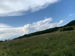 -白草畔自然风景区