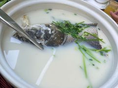 -紫藤园·天目湖大鱼头(南山竹海店)