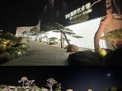 -罗红摄影艺术馆