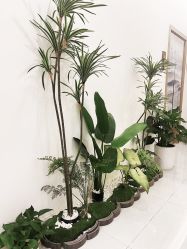 -御品•瑶浴灸疗SPA