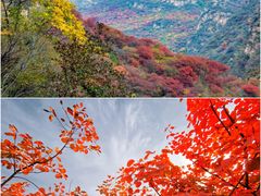 -周口店坡峰岭风景区