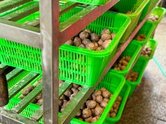 -阿娟牛肉丸·手打牛肉丸·现做现卖