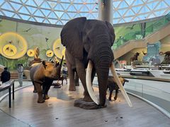 -陕西自然博物馆