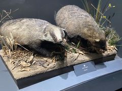 -大庆市博物馆