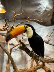 -Zoolung Zoolung动物主题公园(海信广场店)