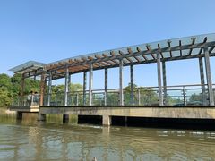 -吴淞炮台湾湿地森林公园烧烤区