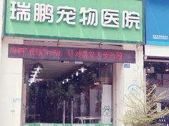-瑞鹏宠物医院华南总院·夜诊·心脏科·骨科