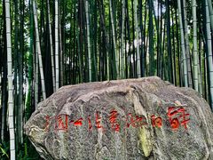-上海醉白池公园