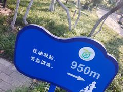 -西安市长乐公园