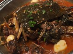 翠清秘制甲鱼-翠清酒家(万丰路店)