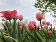 -长春公园(普阳街道)