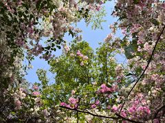 -深圳国际园林花卉博览园