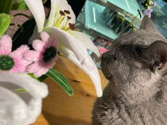 -么么咖啡(燕郊店)