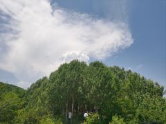 -玉渡山自然风景区