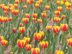 -长春公园(普阳街道)