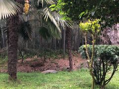 -洪湖悦兮半岛国际温泉度假村