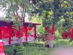 -开福禅寺