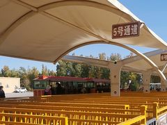-金塔沙漠胡杨林景区