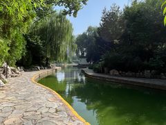 -团结湖公园