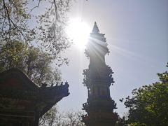 -沈阳植物园