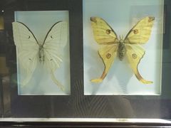 -上海昆虫博物馆