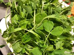 豆苗-海底捞火锅(龙湖北京大兴天街店)