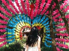 -北海金海湾红树林生态旅游区