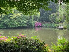 -西湖外事游船(花港观鱼码头)