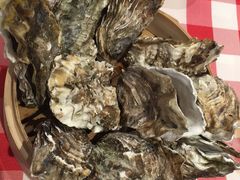 元气蒸生蚝-盒马鲜生(宝地店)