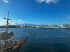 -大阪海游馆