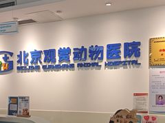-北京观赏动物医院·24小时大型综合·猫专科·异宠专科
