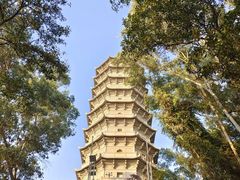 -深圳国际园林花卉博览园