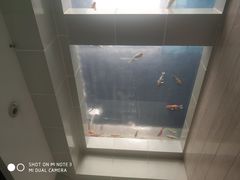 -上海长江河口科技馆