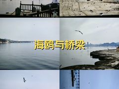 -星海广场