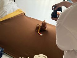 -雪绒花月子会所(祥盛店)