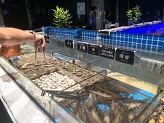 -加餐海鲜自助(宝龙一城店)